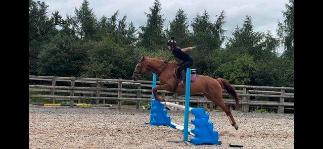 Image 9 of Stunning 6yr old 15,2hh Chestnut Mare