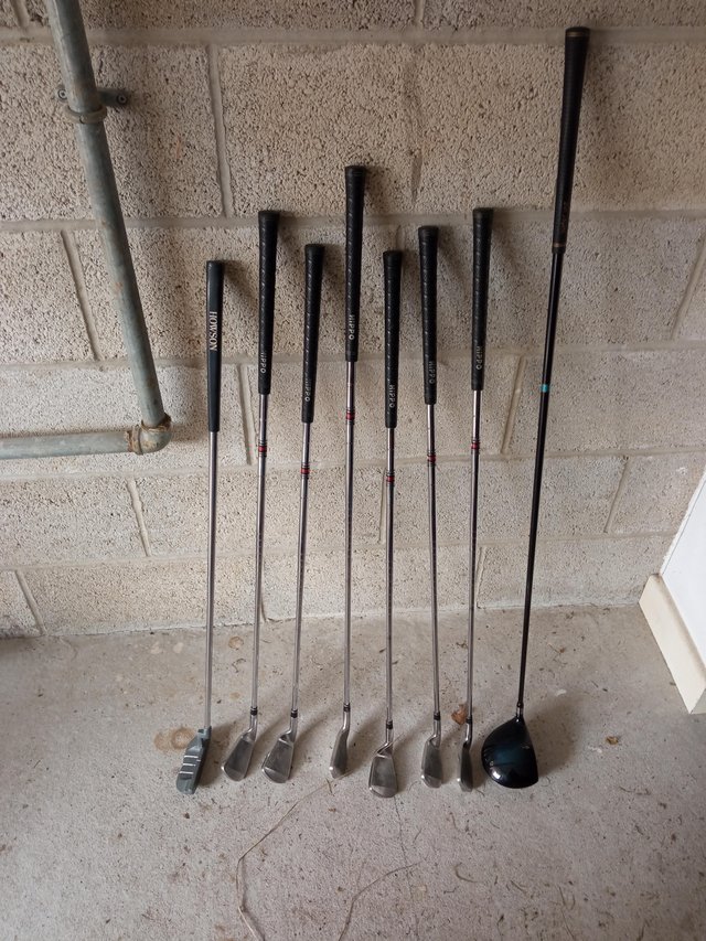 Preview of the first image of Golf clubs irons are hippo ,putter and driver Ben sayer.