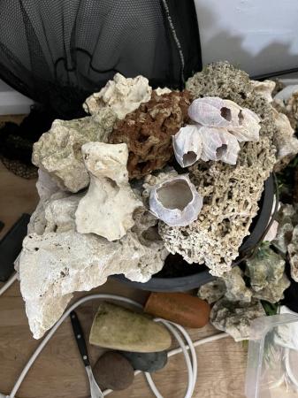 Image 1 of Large quantity of ocean rock for aquarium.