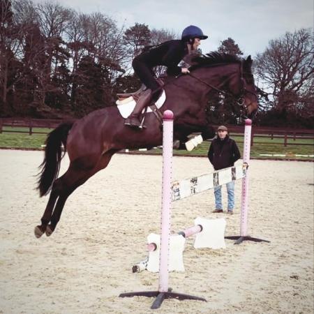 Image 2 of Super 6yr old mare for sale