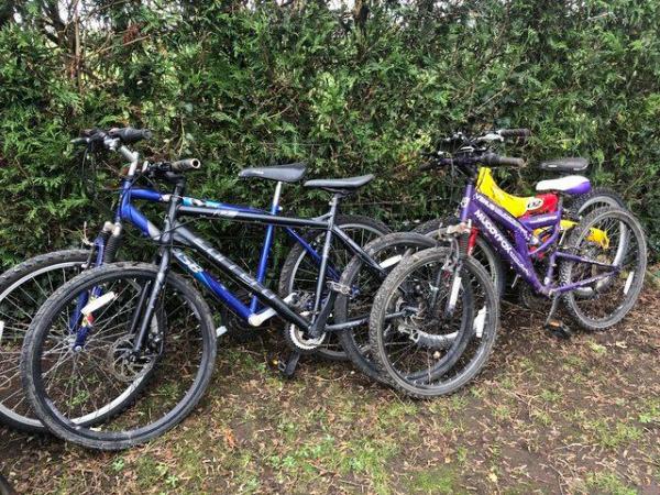 Image 3 of Bikes spares or repairs (four)