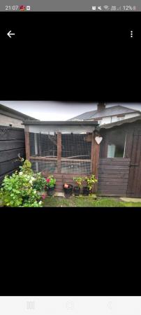 Image 1 of unwanted cage and aviary birds rehomed