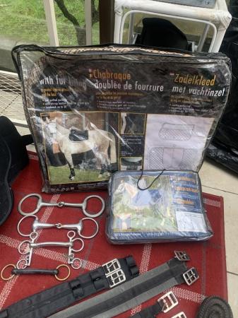 Image 2 of Equestrian Tack and books lot