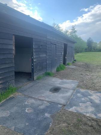 Image 2 of DIY livery space Colchester for one horse/pony