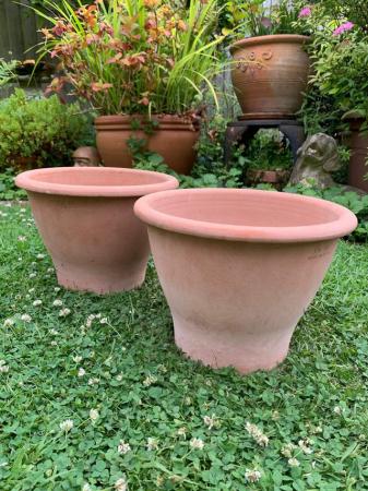 Image 3 of Pair of terracotta plant pots