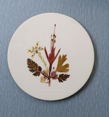 Image 5 of 6 Handcrafted Wildflower Coasters.With Real Flowers