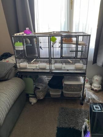 Image 2 of Large dividable Bird cage and stand