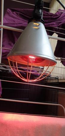 Image 3 of Infa-Red Heat Lamp for sale