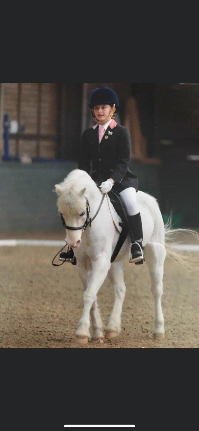 Preview of the first image of 11.2hh Schoolmaster pony for loan.