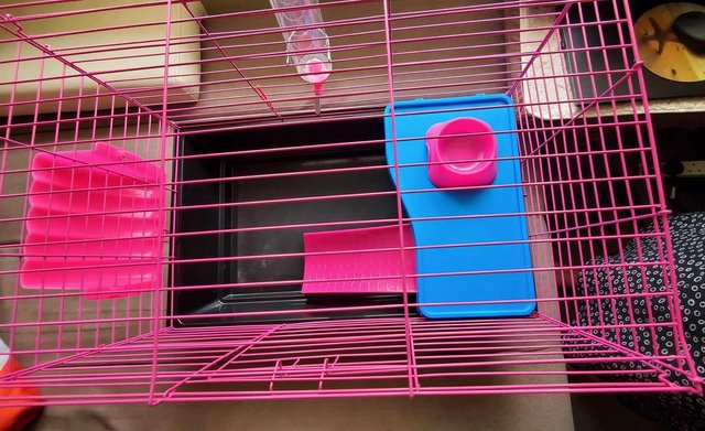 Image 3 of Small pet cage (not suitable for hamsters)