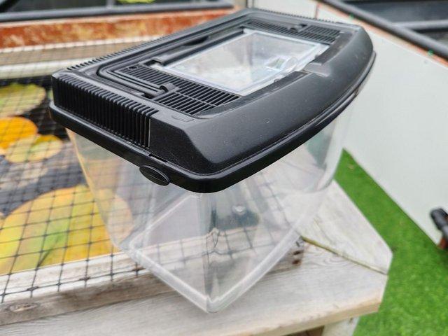 Preview of the first image of SMALL PLASTIC TANK WITH LID AND CARRY HANDLE.