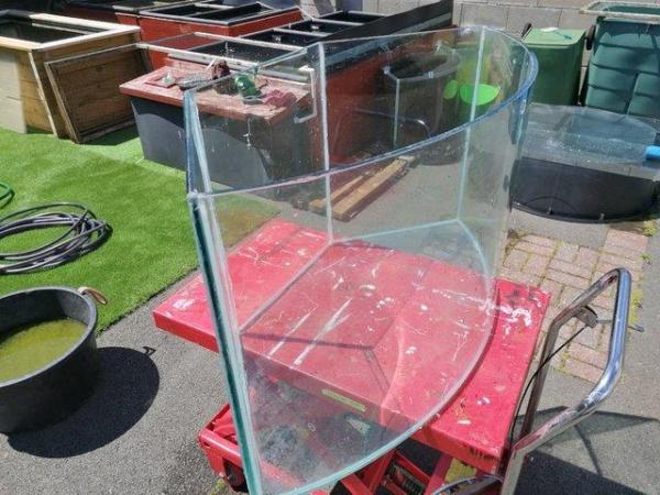 Image 4 of LARGE CURVED FRONT FISH TANK 10MM GLASS