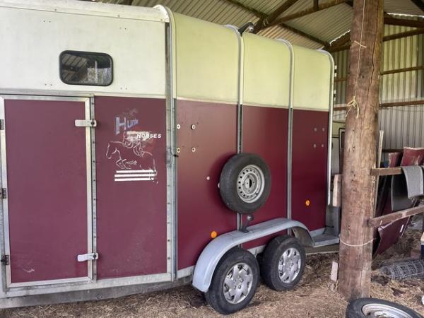 Image 3 of For Williams 510 horse trailer