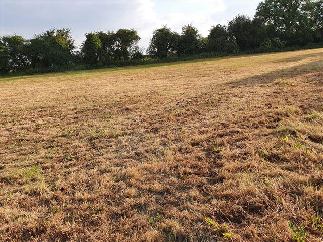 Preview of the first image of 3.5 Acres of Field for Rent - Excellent Location.