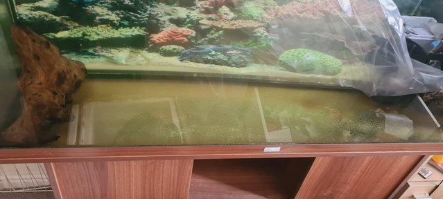 Preview of the first image of JUWEL AQUARIUM 240 4FT FISH TANK GREAT CONDITION.
