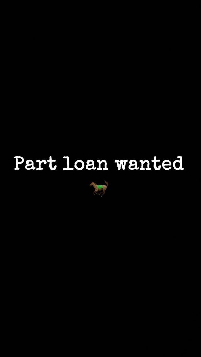 Preview of the first image of PART LOAN WANTED - 1/2 days a week.