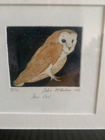 Image 1 of A framed beautiful owl print for sale