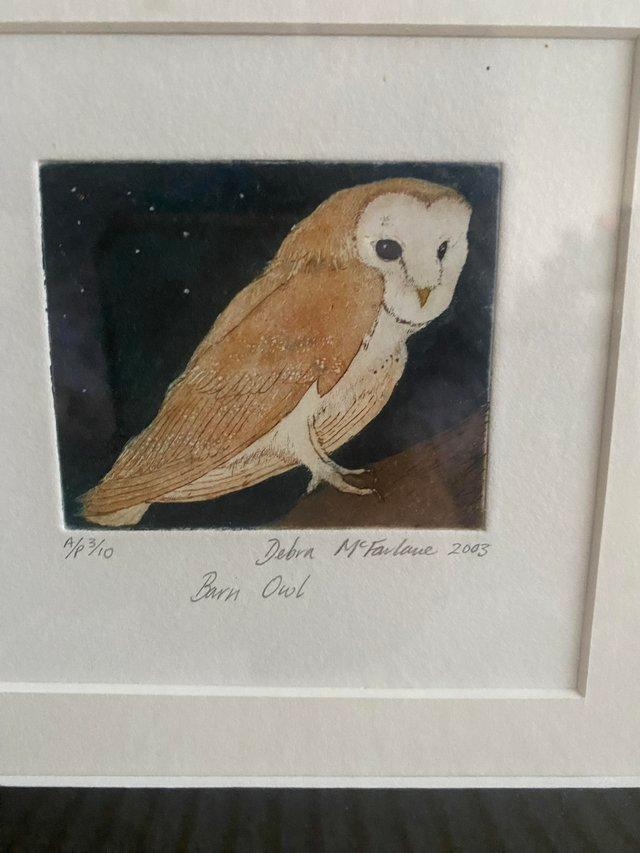 Preview of the first image of A framed beautiful owl print for sale.