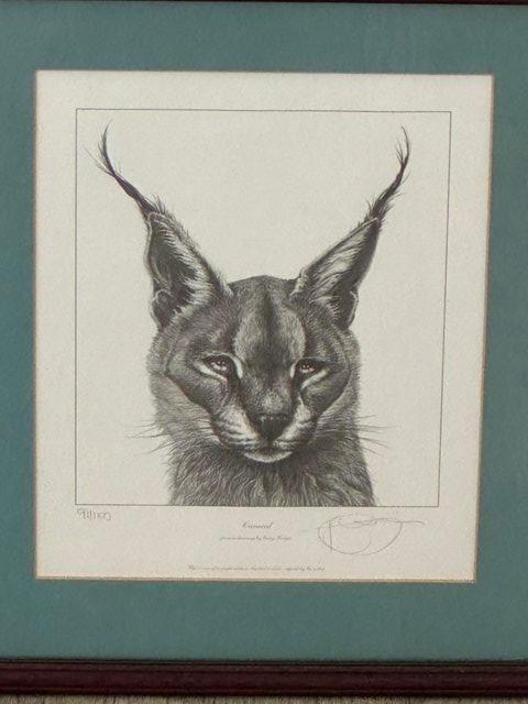 Preview of the first image of Gary Hodges Caracal Limited Edition Print.