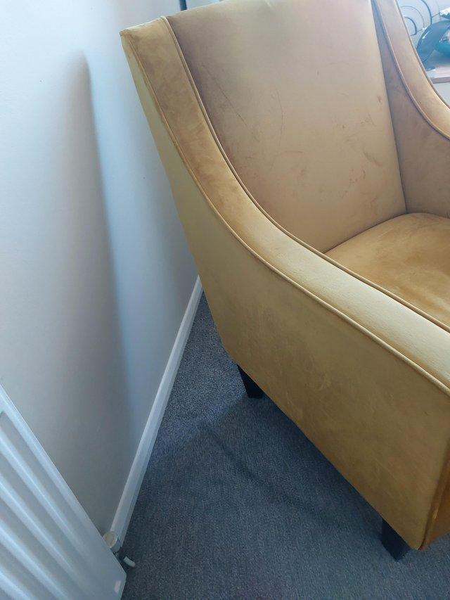 Preview of the first image of Velvet mustard (ochre ) occasional chair.