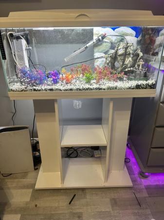 Image 5 of Fish tank comes with everything you see in photos