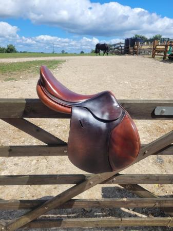 Image 3 of Butet 18" jump saddle for sale