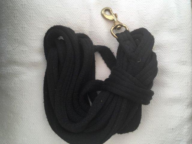 Preview of the first image of Lunge line, Black cushion web, brass coloured trigger clip.