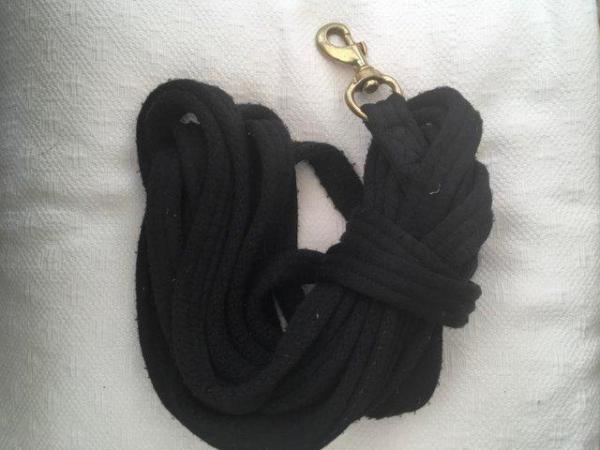 Image 1 of Lunge line, Black cushion web, brass coloured trigger clip
