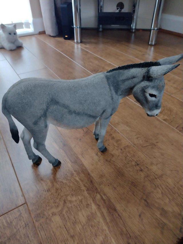 Preview of the first image of Large Donkey For Sale Due To Downsizing.