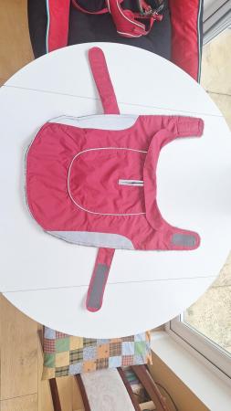 Image 5 of Puppy Collar, Harness, Coat, Bed with removable cushion