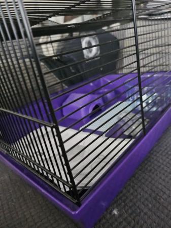 Image 5 of Purple Hamster Cage virtually new