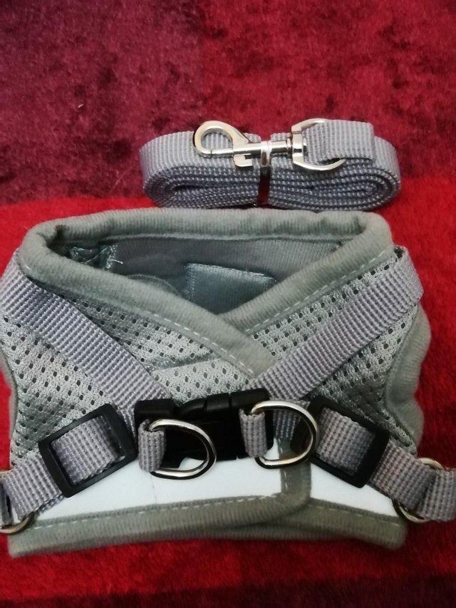Preview of the first image of Cat Harness and lead GREY brand new size XS.