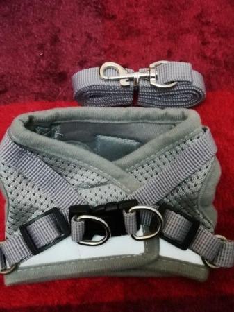Image 1 of Cat Harness and lead GREY brand new size XS