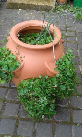 Image 3 of Herb/Strawberry planter large pot, Plastic.