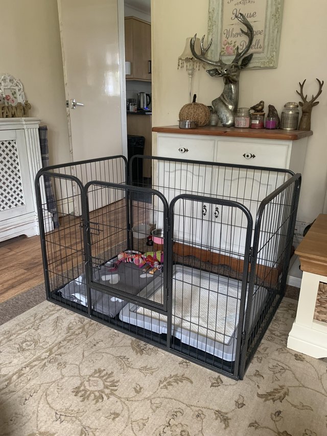 Preview of the first image of As new dog pen, whelping, puppy.