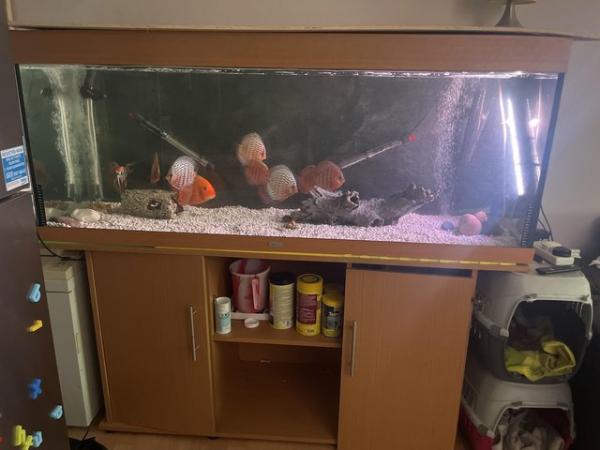 Image 4 of 5ft fish tank with lights (needs new bulbs) lid