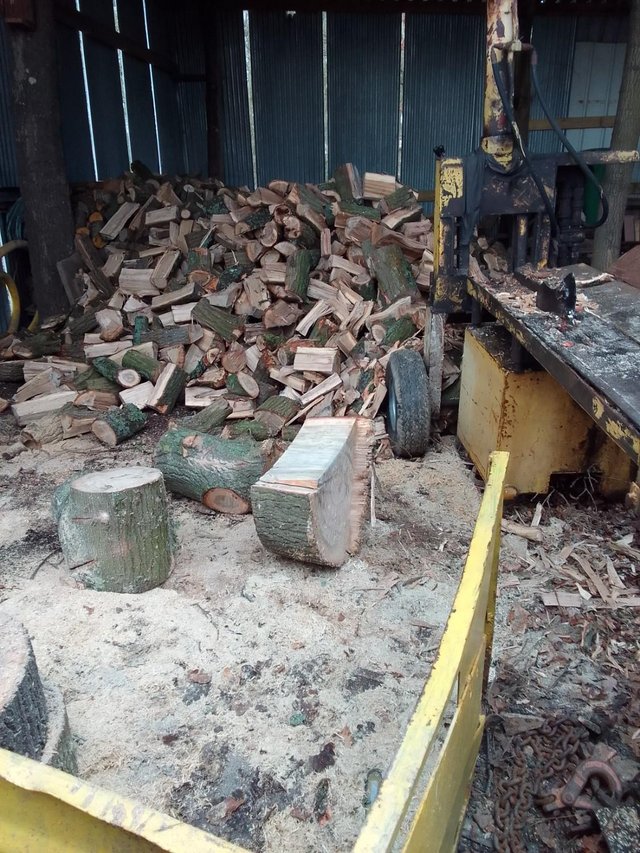 Preview of the first image of split logs for sale and oak tree trunks.