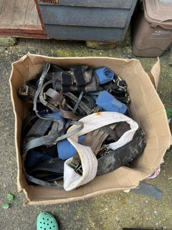Image 1 of Job lot of tack - all used but good condition. Will be clean