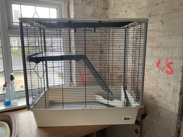 Preview of the first image of Indoor Rat Cage - Used but good condition.