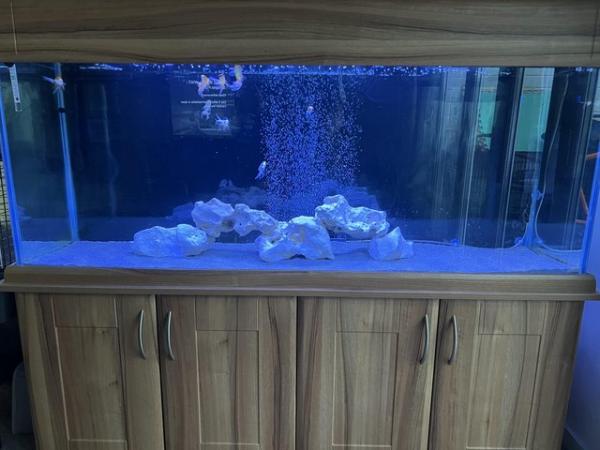 Image 5 of 5ft Fish Tank FULL SETUP! NEED GONE DUE TO HOUSE MOVE!