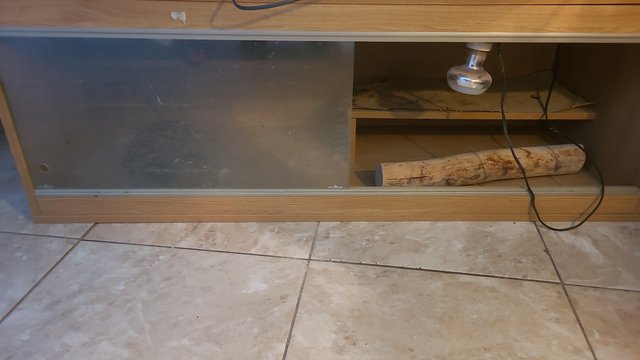 Preview of the first image of 4 ft vivarium including light fitting and shelving.