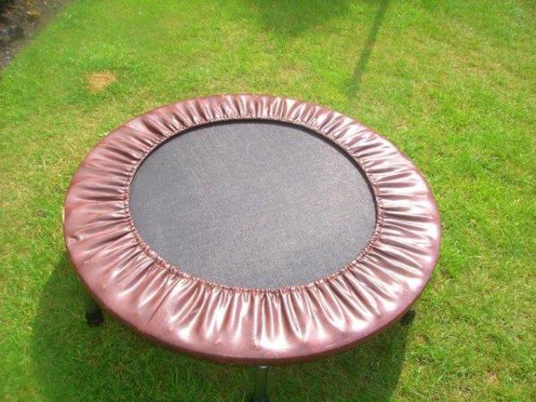 Image 1 of TRAMPOLINE WITH REMOVALSCREW INLEGS