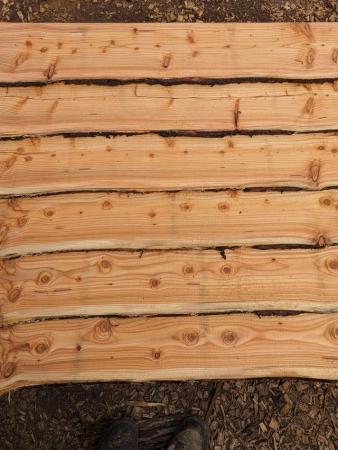 Image 1 of Larch cladding - Waney edge boards.