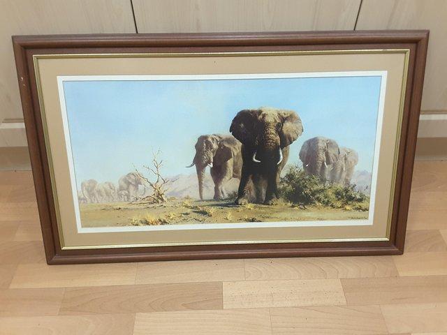 Preview of the first image of THE IVORY IS THEIRS BY DAVID SHEPHERD FRAMED PRINT.