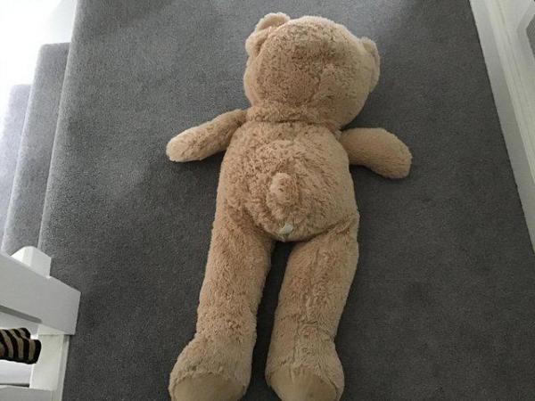 Image 3 of Soft cuddly Teddy Bear in excellent condition