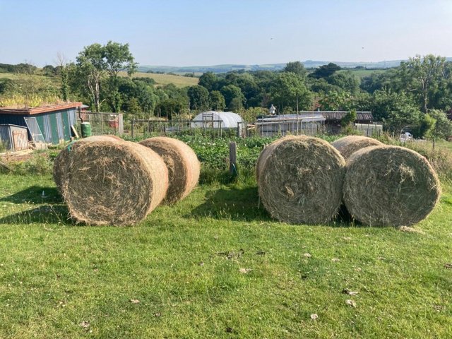 Preview of the first image of 6 large round hay bales for sale.