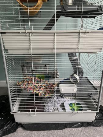 Image 3 of Massive rat/ferret cage really good quality