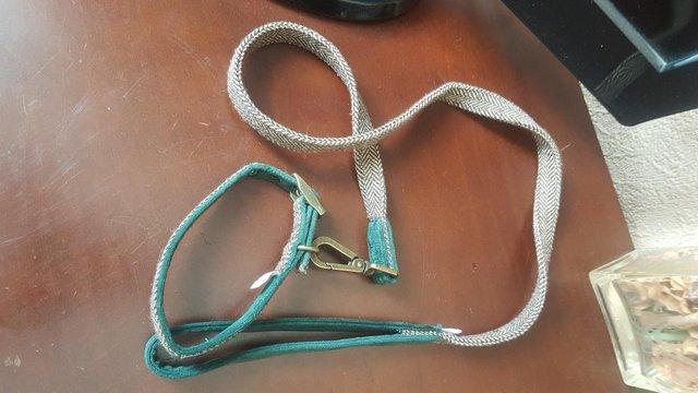 Image 1 of Small dog harnesses and collar with lead set