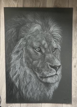 Image 3 of Artwork - Lion drawing original 1of1 black and white.