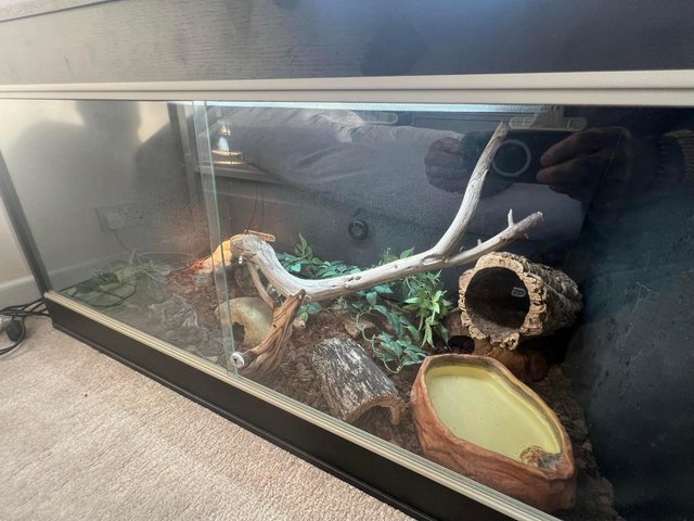 Preview of the first image of Vivexotic 4x2x2 Reptile Vivarium Full Setup with Basking Lam.